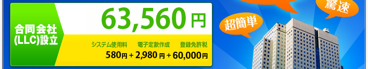 合同会社LLC設立に必要な総額は63,560円